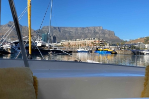 ケープタウン・クルーズのサンセットクルーズ