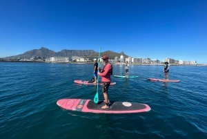 Wycieczka oceaniczna SUP