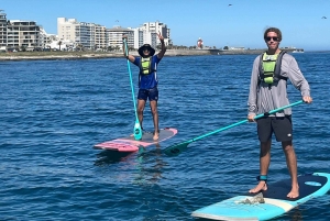 SUP Ocean Tour