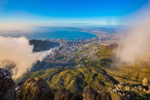 Cape Town: Privat dagstur til Kaphalvøen og Taffelbjerget
