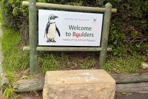 Nada con pingüinos en la colonia de pingüinos de Boulders Beach