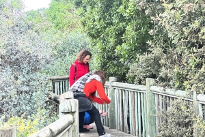 Ui pingviinien kanssa Boulders Beachin pingviinisiirtokunnassa.