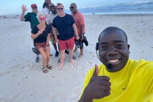 Ui pingviinien kanssa Boulders Beachin pingviinisiirtokunnassa.