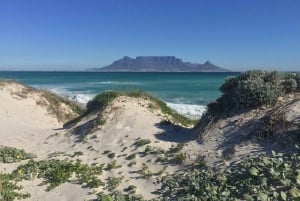 Cape Town: Table Bay Coastal E-bike Tour
