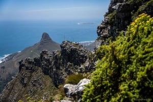 Abseilen en wandelen op de Tafelberg