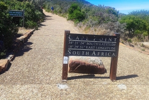 Jednodniowa wycieczka na Górę Stołową i Przylądek Dobrej Nadziei