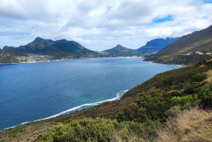 Jednodniowa wycieczka na Górę Stołową i Przylądek Dobrej Nadziei