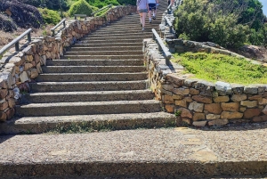 Jednodniowa wycieczka na Górę Stołową i Przylądek Dobrej Nadziei