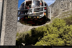 Privat omvisning med vinsmaking i Taffelberget og Constantia