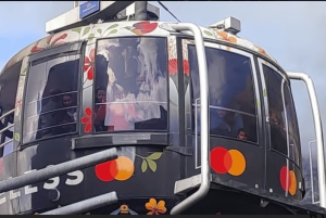 Privat omvisning med vinsmaking i Taffelberget og Constantia