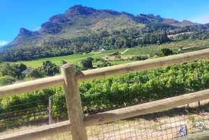 Privat omvisning med vinsmaking i Taffelberget og Constantia