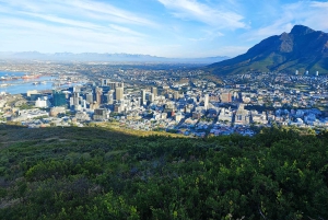 Privat omvisning med vinsmaking i Taffelberget og Constantia