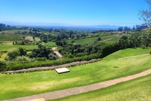 Privat omvisning med vinsmaking i Taffelberget og Constantia
