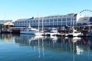 Cape Town: Table Mountain and V&A Waterfront Guided Tour