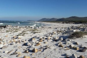 Montaña de la Mesa Playa de Boulder y Punta del Cabo