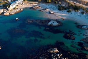 Montaña de la Mesa Playa de Boulder y Punta del Cabo