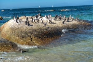 Montaña de la Mesa Playa de Boulder y Punta del Cabo