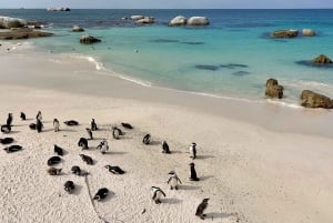 Montaña de la Mesa Playa de Boulder y Punta del Cabo
