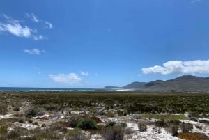 Montaña de la Mesa Playa de Boulder y Punta del Cabo
