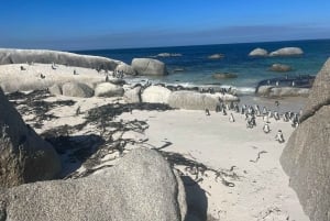 Montaña de la Mesa Playa de Boulder y Punta del Cabo
