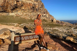 Tafelberg, Boulder Pinguine & Cape Point: Private Tour