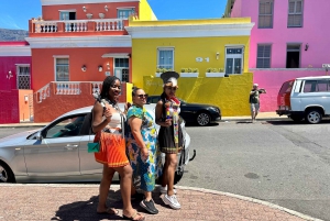 Kapstaden: Privat utflykt till Taffelberget & Boulders Beach