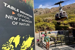 Table Mountain, Boulder's Penguins og Cape Point privat tur