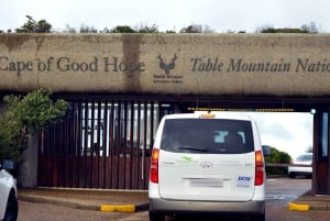 Table Mountain, Boulder's Penguins & Cape Point Private Tour