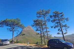 Bus à arrêts multiples de Table Mountain Cable Car - Billet réservé