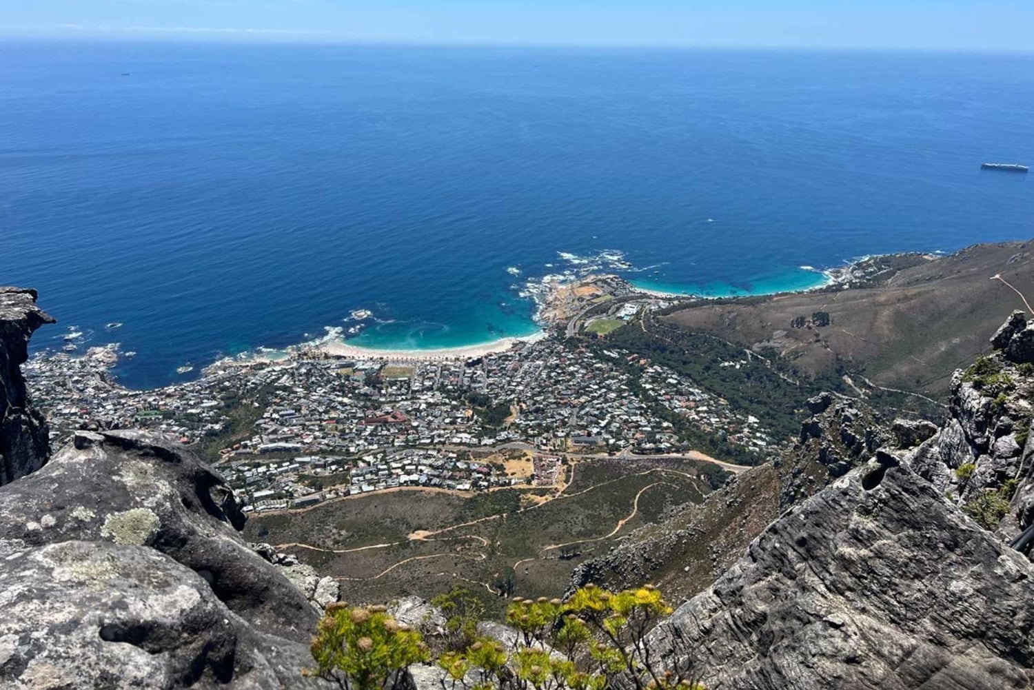 Vintur til Kirstenbosch og Constantia med taubane til Taffelberget