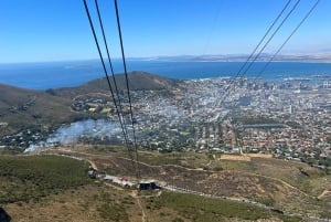 Vintur til Kirstenbosch og Constantia med taubane til Taffelberget