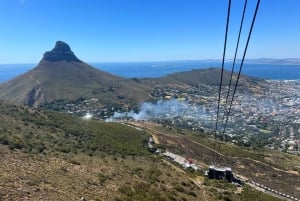 Vintur til Kirstenbosch og Constantia med taubane til Taffelberget