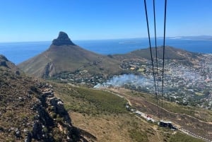 Vintur til Kirstenbosch og Constantia med taubane til Taffelberget