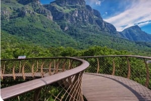 Vintur til Kirstenbosch og Constantia med taubane til Taffelberget