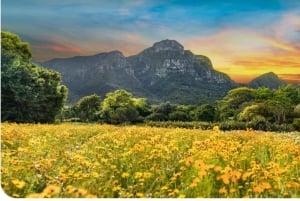 Vintur til Kirstenbosch og Constantia med taubane til Taffelberget