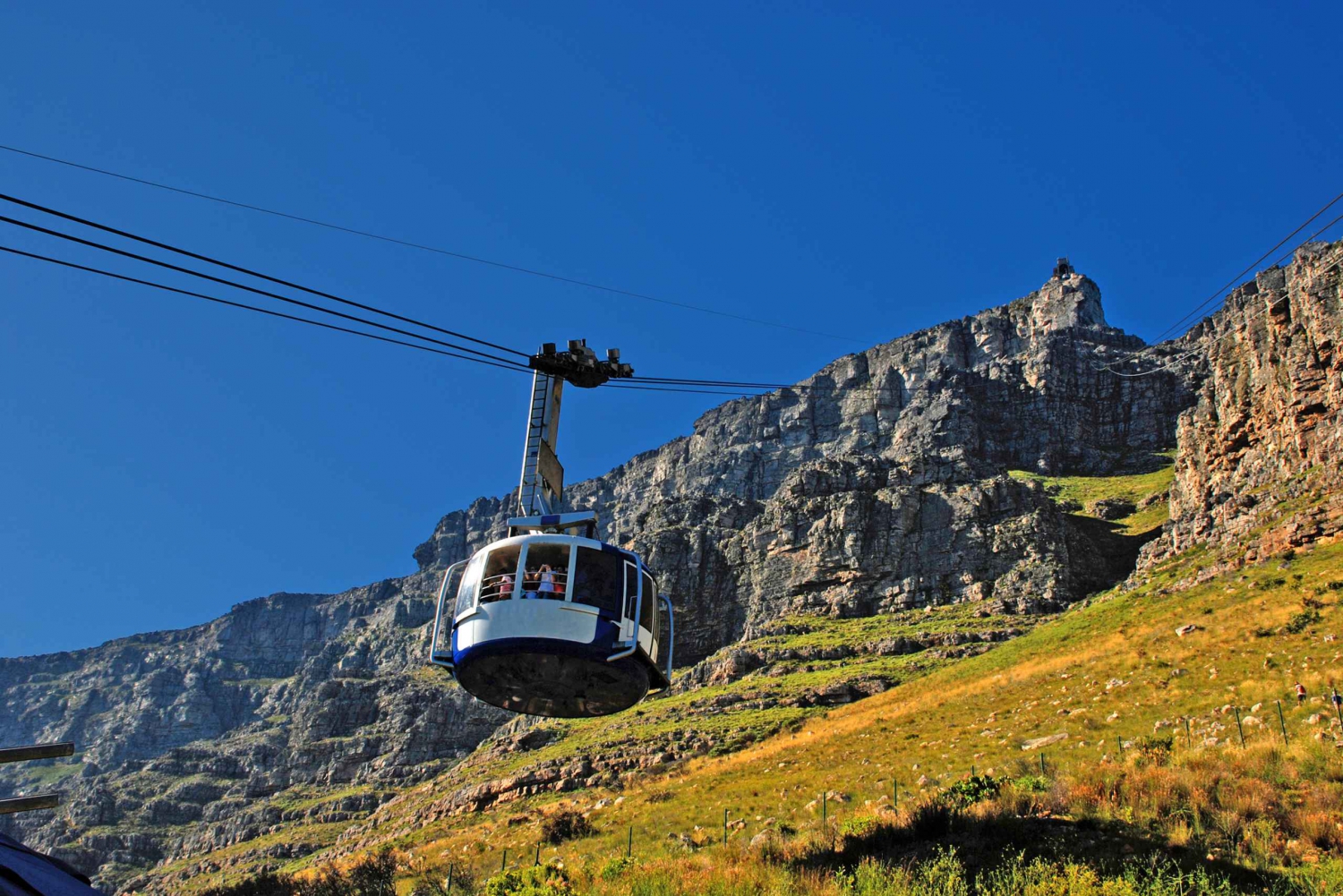 Privat tur til Table Mountain, Boulders Penguins og Cape Point
