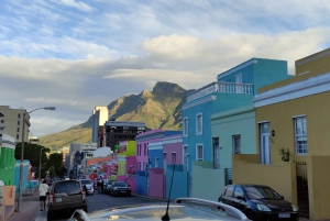 Table Mountain, Cape of Good Hope & Penguins, From Cape Town
