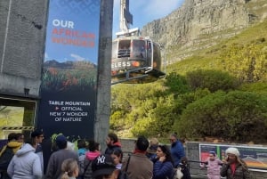 Kapstadt: Tafelberg, Cape Point und Pinguine Gruppentour