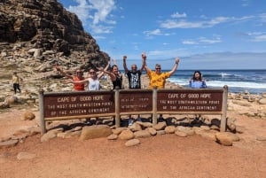 Kapstaden: Gruppresa till Taffelberget, Kapspetsen och pingvinerna