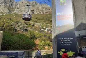 Table Mountain, Capo di Buona Speranza e Pinguini Giornata intera Privata