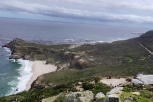 Table Mountain, Cabo da Boa Esperança e Pinguins Dia inteiro privativo