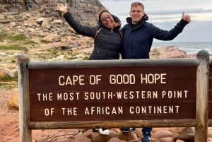 Table Mountain, Cabo da Boa Esperança, Pinguins, excursão de 1 dia