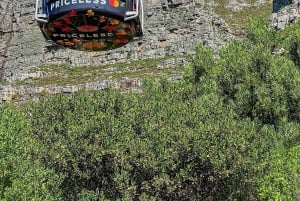 Table Mountain, Cabo da Boa Esperança, Pinguins, excursão de 1 dia