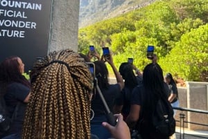 Table Mountain, Cabo da Boa Esperança, Pinguins, excursão de 1 dia