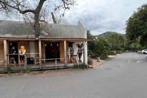 Table Mountain, Cabo da Boa Esperança, Pinguins, excursão de 1 dia