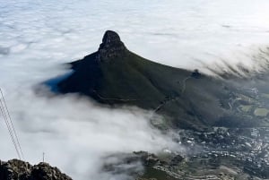 Table Mountain, Cabo da Boa Esperança, Pinguins, excursão de 1 dia