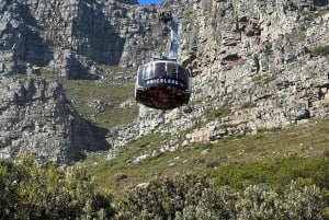 Table Mountain, Cabo da Boa Esperança, Pinguins, excursão de 1 dia