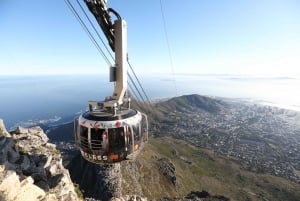 Table Mountain e Capo di Buona Speranza e Pinguini Giornata intera