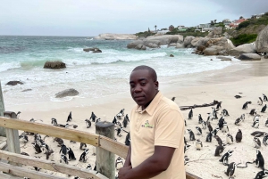Table Mountain & Cape Of Good Hope & Penguins full Day