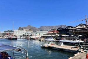 Table Mountain, Cabo da Boa Esperança e Pinguins, incluindo taxas do parque